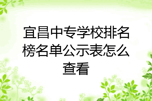 宜昌中专学校排名榜名单公示表怎么查看