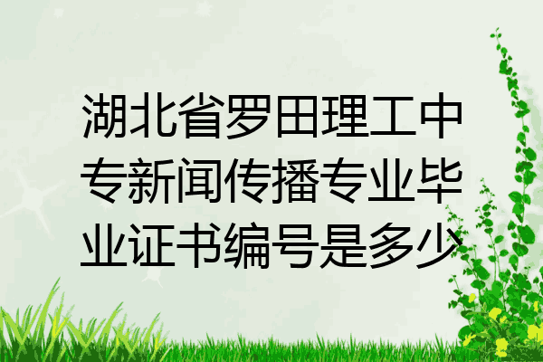 湖北省罗田理工中专新闻传播专业毕业证书编号是多少
