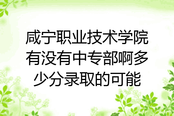 咸宁职业技术学院有没有中专部啊多少分录取的可能