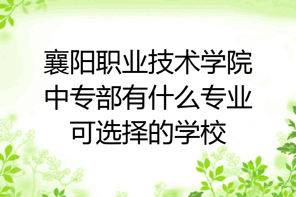 襄阳职业技术学院中专部有什么专业可选择的学校