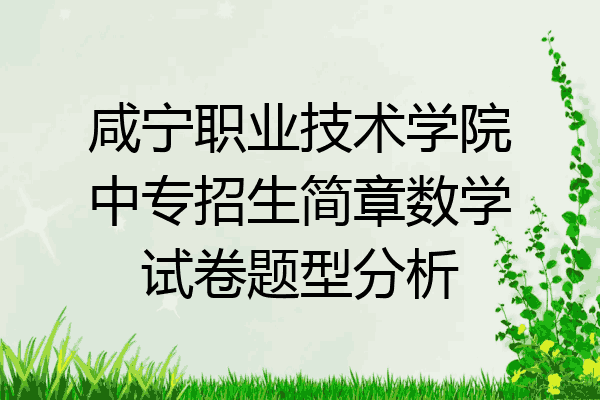咸宁职业技术学院中专招生简章数学试卷题型分析