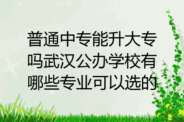 普通中专能升大专吗武汉公办学校有哪些专业可以选的