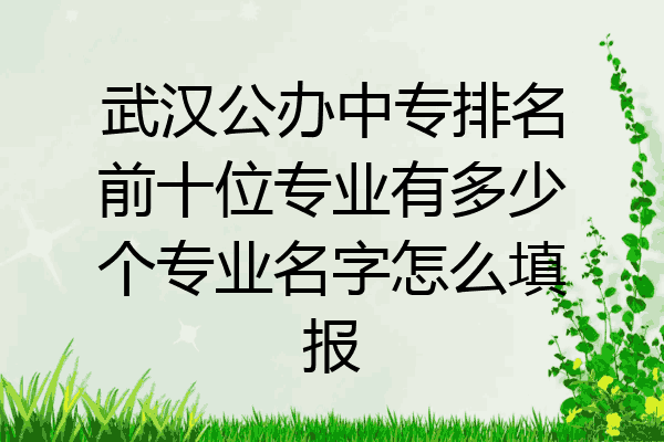 武汉公办中专排名前十位专业有多少个专业名字怎么填报
