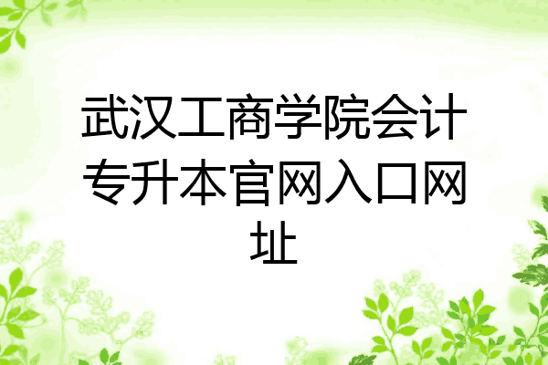 武汉工商学院会计专升本官网入口网址