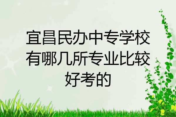 宜昌民办中专学校有哪几所专业比较好考的