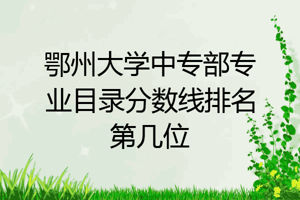 鄂州大学中专部专业目录分数线排名第几位
