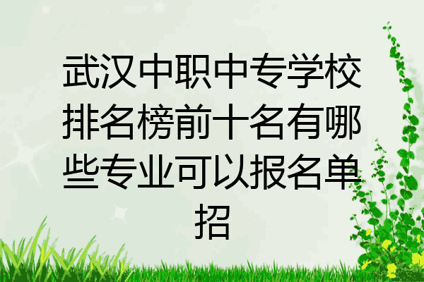 武汉中职中专学校排名榜前十名有哪些专业可以报名单招