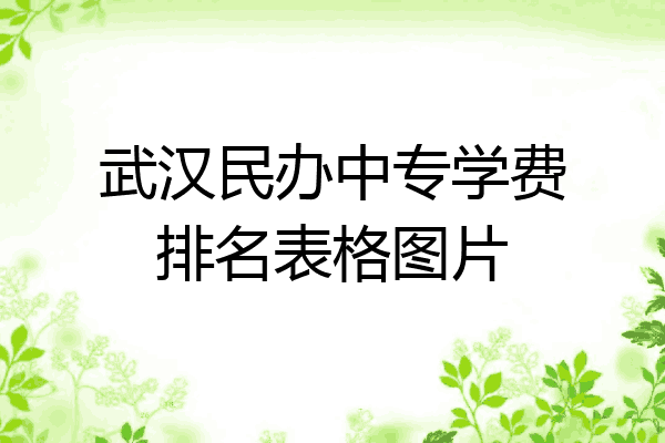武汉民办中专学费排名表格图片