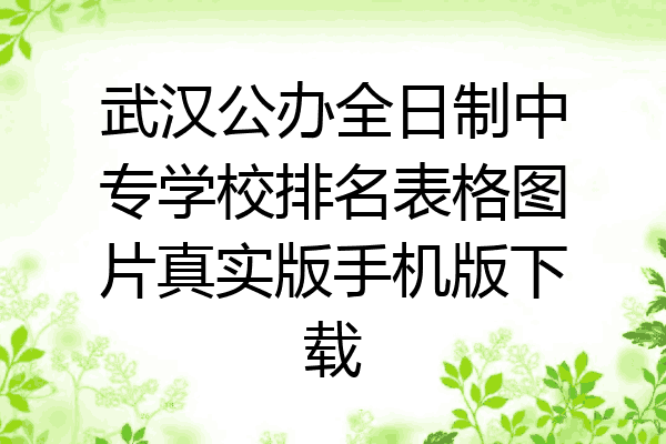 武汉公办全日制中专学校排名表格图片真实版手机版下载