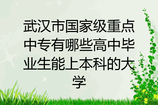 武汉市国家级重点中专有哪些高中毕业生能上本科的大学