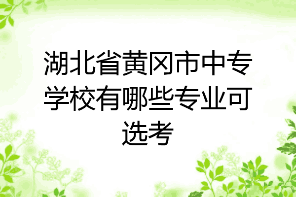 湖北省黄冈市中专学校有哪些专业可选考