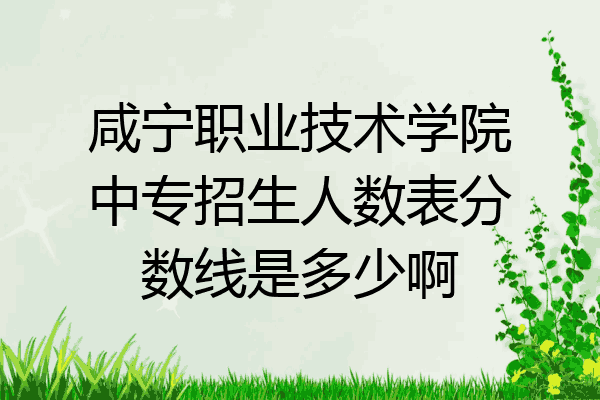 咸宁职业技术学院中专招生人数表分数线是多少啊