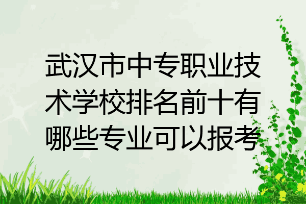 武汉市中专职业技术学校排名前十有哪些专业可以报考