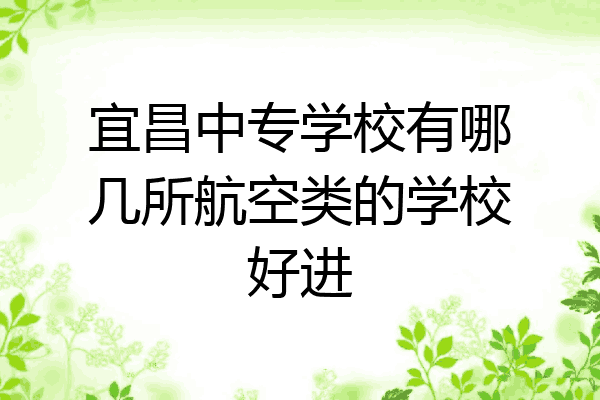 宜昌中专学校有哪几所航空类的学校好进
