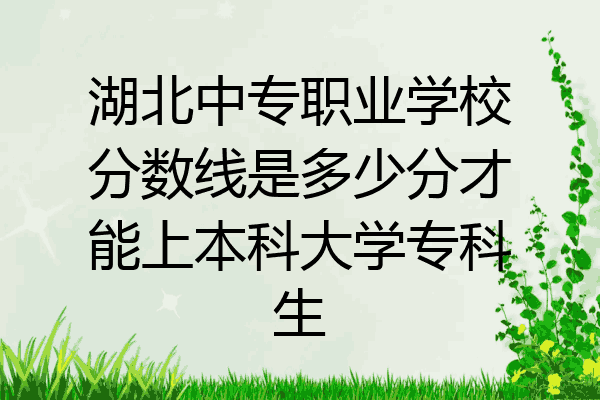 湖北中专职业学校分数线是多少分才能上本科大学专科生
