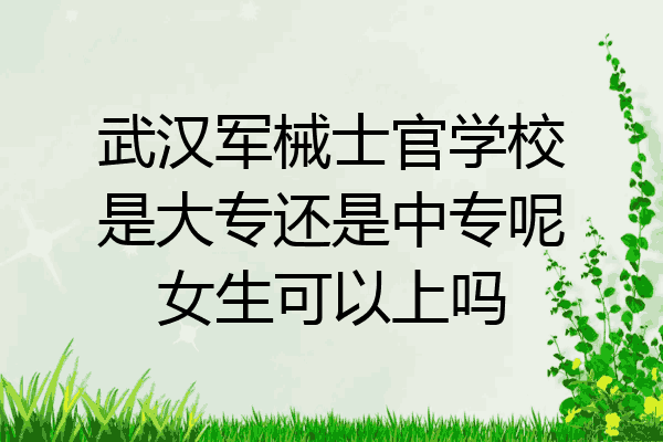 武汉军械士官学校是大专还是中专呢女生可以上吗