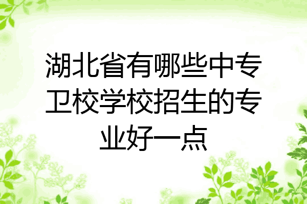 湖北省有哪些中专卫校学校招生的专业好一点