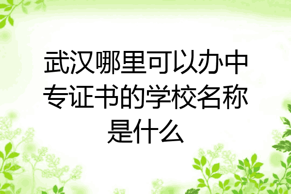 武汉哪里可以办中专证书的学校名称是什么