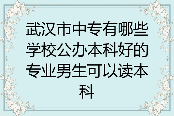 武汉市中专有哪些学校公办本科好的专业男生可以读本科