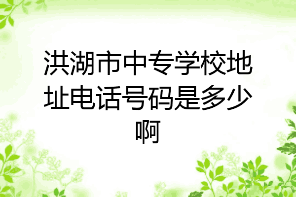 洪湖市中专学校地址电话号码是多少啊