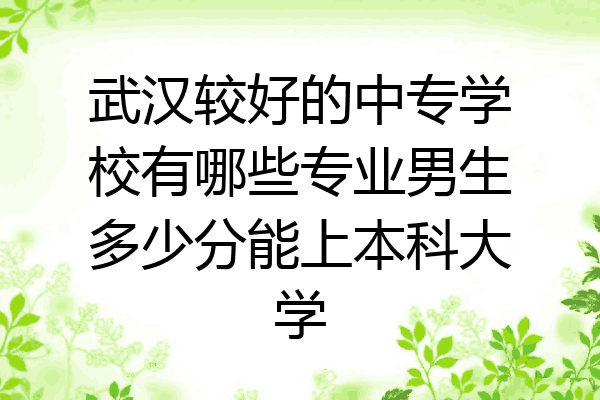 武汉较好的中专学校有哪些专业男生多少分能上本科大学