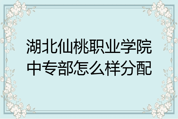 湖北仙桃职业学院中专部怎么样分配