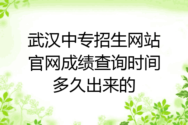 武汉中专招生网站官网成绩查询时间多久出来的