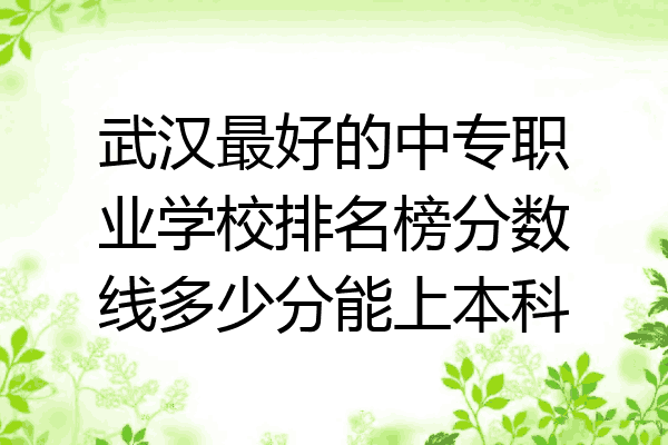 武汉最好的中专职业学校排名榜分数线多少分能上本科