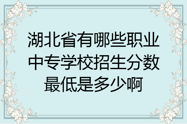 湖北省有哪些职业中专学校招生分数最低是多少啊
