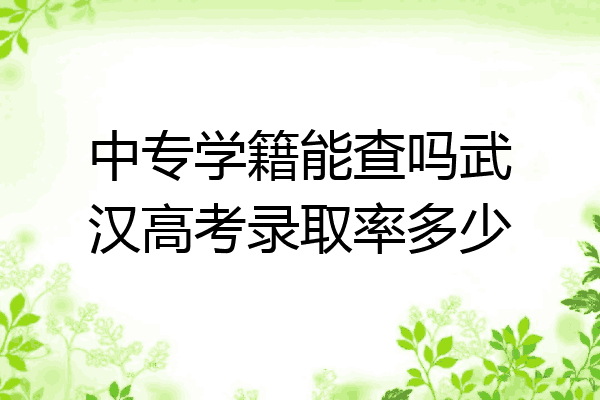 中专学籍能查吗武汉高考录取率多少