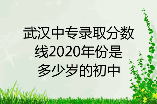 武汉中专录取分数线2020年份是多少岁的初中