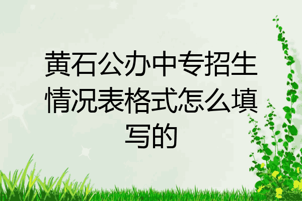 黄石公办中专招生情况表格式怎么填写的