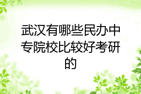 武汉有哪些民办中专院校比较好考研的