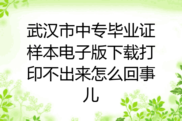 武汉市中专毕业证样本电子版下载打印不出来怎么回事儿