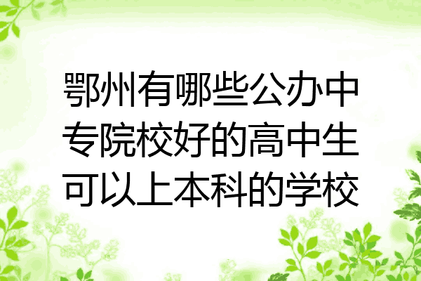 鄂州有哪些公办中专院校好的高中生可以上本科的学校