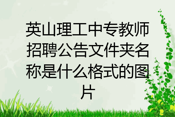 英山理工中专教师招聘公告文件夹名称是什么格式的图片