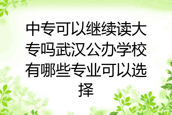 中专可以继续读大专吗武汉公办学校有哪些专业可以选择