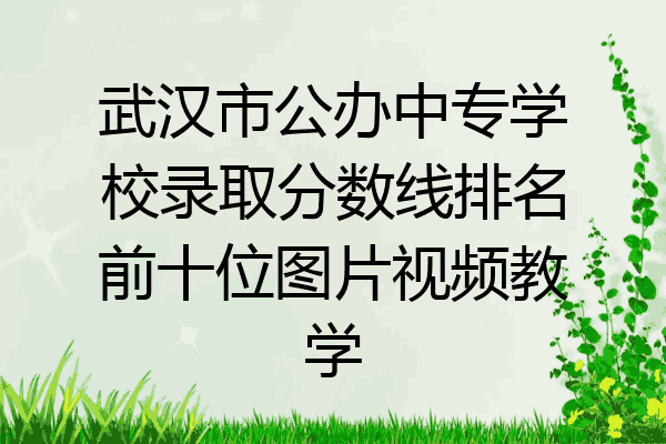 武汉市公办中专学校录取分数线排名前十位图片视频教学