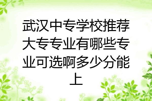 武汉中专学校推荐大专专业有哪些专业可选啊多少分能上