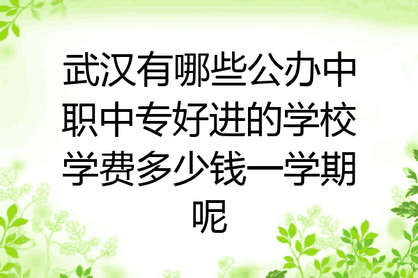 武汉有哪些公办中职中专好进的学校学费多少钱一学期呢