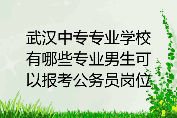 武汉中专专业学校有哪些专业男生可以报考公务员岗位