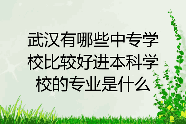 武汉有哪些中专学校比较好进本科学校的专业是什么