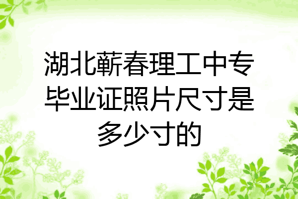 湖北蕲春理工中专毕业证照片尺寸是多少寸的