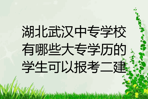 湖北武汉中专学校有哪些大专学历的学生可以报考二建