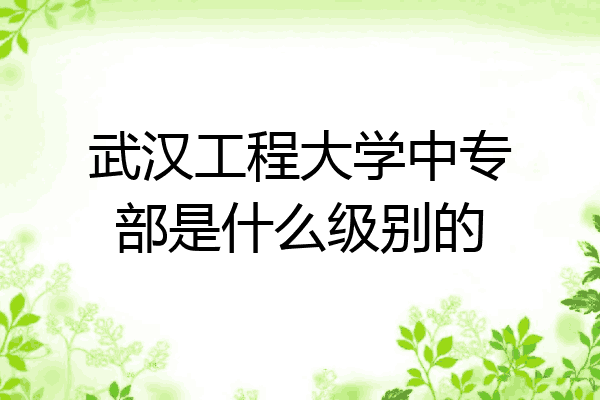 武汉工程大学中专部是什么级别的