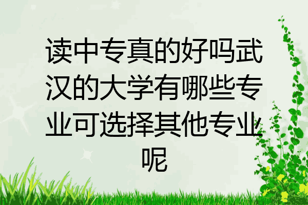 读中专真的好吗武汉的大学有哪些专业可选择其他专业呢