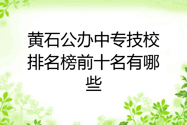 黄石公办中专技校排名榜前十名有哪些