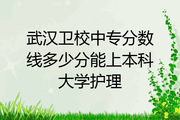 武汉卫校中专分数线多少分能上本科大学护理