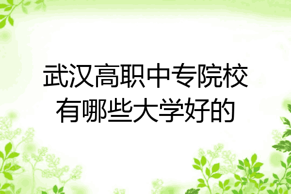 武汉高职中专院校有哪些大学好的