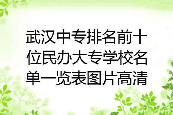 武汉中专排名前十位民办大专学校名单一览表图片高清
